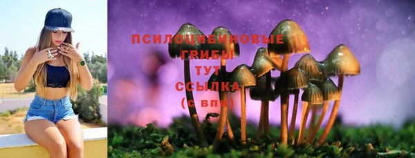 кокаин колумбия Алзамай