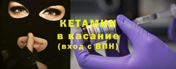 индика Аркадак