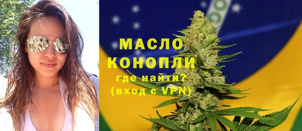 индика Аркадак